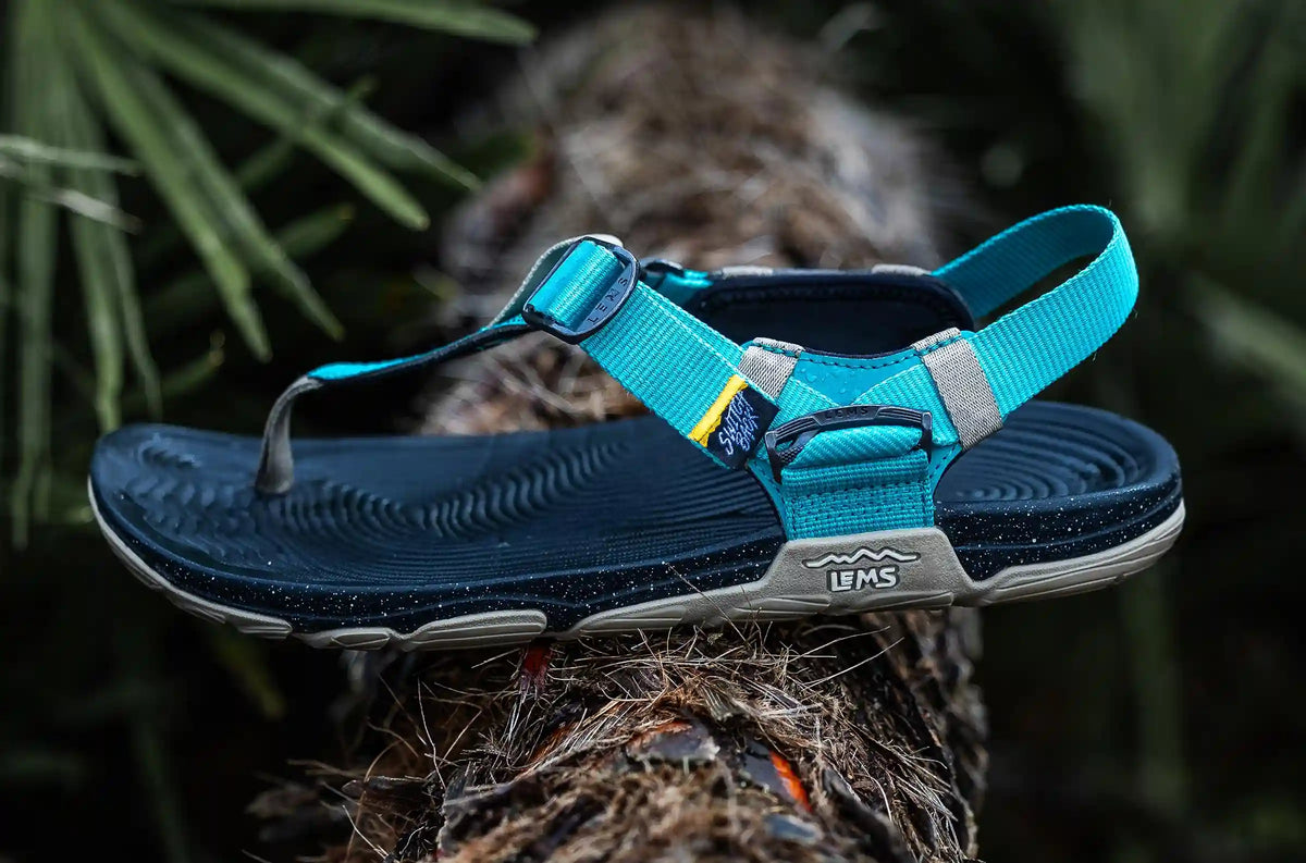 Men's Switchback Sandal